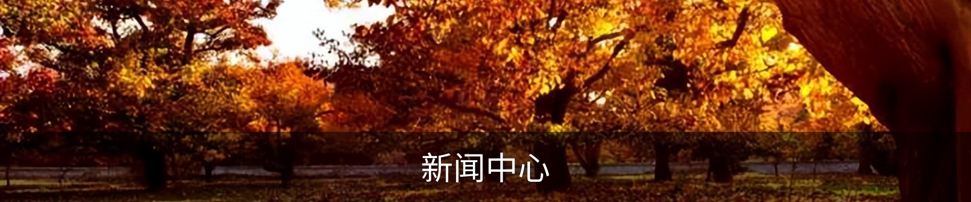新闻中心